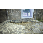 obrazek fotogalerie 3 z16