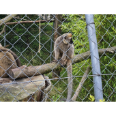 obrazek fotogalerie 1 z22