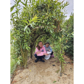 obrazek fotogalerie 1 z22