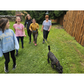 obrazek fotogalerie 3 z22