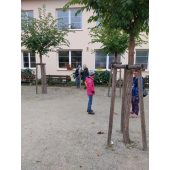 obrazek fotogalerie 2 z5