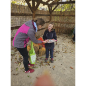 obrazek fotogalerie 2 z13