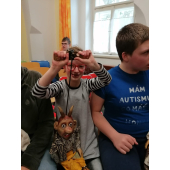 obrazek fotogalerie 2 z8