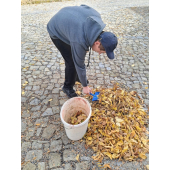 obrazek fotogalerie 2 z23