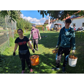 obrazek fotogalerie 4 z23