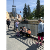 obrazek fotogalerie 2 z14